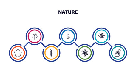 Poster - nature infographic element with outline icons and 7 step or option. nature icons such as tree leave, poplar leaf, cypress leaf, season, acacia, big snowflake, sunny protic vector.