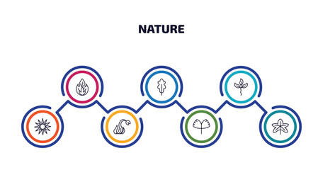 Poster - nature infographic element with outline icons and 7 step or option. nature icons such as burning flames, oak leaf, cuspicate, sol, carnivorous plant, ginkgo, grape leaf vector.