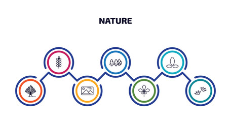 Poster - nature infographic element with outline icons and 7 step or option. nature icons such as pecan leaf, pine tree on fire, asian, yucca, landscape inside frame, chestnut leaf, four toe footprint