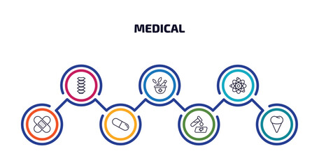 Poster - medical infographic element with outline icons and 7 step or option. medical icons such as spinal column, phary tool, atomic structure, plastering, medical pill, blood analysis, premolar vector.