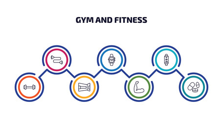 Poster - gym and fitness infographic element with outline icons and 7 step or option. gym and fitness icons such as resistance band, sport watch, fitness tracker, exercising dumbbell, lumbar belt, muscles,