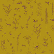 Seamless Pattern With Herbs. Forest, Meadow Herbs And Flowers, Ink Drawing