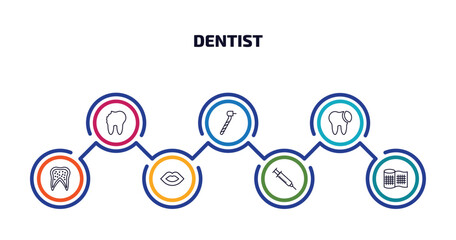 Poster - dentist infographic element with outline icons and 7 step or option. dentist icons such as cavity, dentists drill tool, tooth filling, inner tooth, mouth, empty syringe, gauze vector.