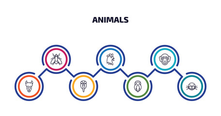 Wall Mural - animals infographic element with outline icons and 7 step or option. animals icons such as fly, cock, chimpanzee, lama, albotros, aw, seal vector.