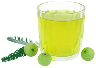 Canvas Print - Herbal amla juice with fresh fruits