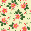 rosehip flowers seamless pattern