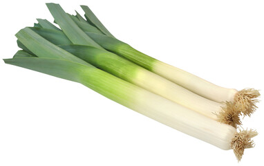 Poster - Fresh leek stems and leaves