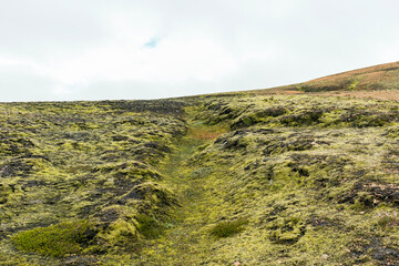 Land covered in green fresh moss seen while trekking in Iceland