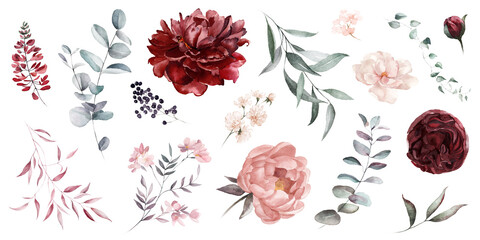 Wall Mural - Watercolor floral illustration individual elements set - green leaves, burgundy pink peach blush white flowers, branches. Wedding invitations wallpapers fashion prints. Eucalyptus, olive, peony, rose.