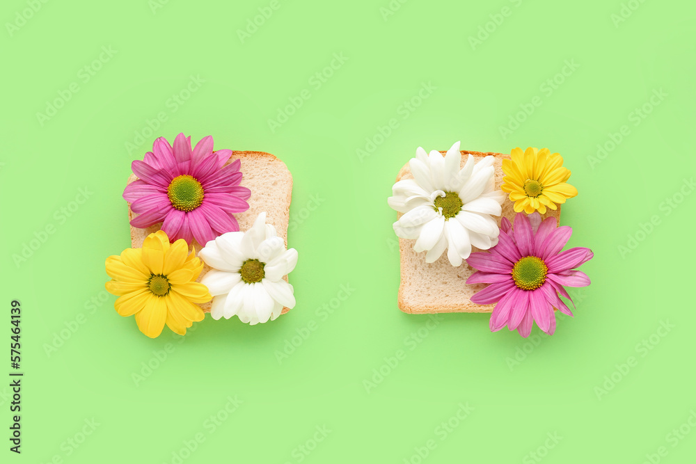 Sandwiches with beautiful chrysanthemum flowers on green background