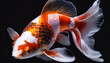 3D render illustration of orange and white color Koi fish. Ai generative