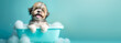Cute puppy dog in bathtub , pets cleaning , Generative Ai	