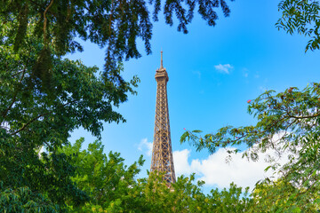 Wall Mural - Top of Eiffel Tower seen from the park in Paris. France