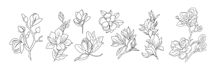 Wall Mural - Set of Magnolia flower line art vector illustrations. Hand drawn monochrome black ink style sketch. Trendy greenery drawing for jewelry, tattoo, logo, wall art, card, t shirt, packaging design.
