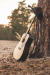 Gitarre im Sand am Baum Lehnend 