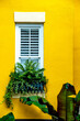© Cavan Images - Yellow wall with window and potted plant, Charleston, South Carolina, USA