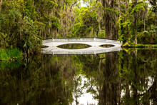 Footbridge Over Pond At Magnolia Plantation, South Carolina, USA