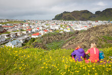 Two People Sitting In Meadow With Wildflowers Near Town, Heimay Island, Vestmannaeyjar, Iceland