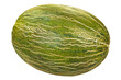Melone Piel de Sapo  close up transparent freigestellt