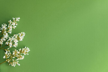 Sticker - Beautiful flower arrangement. Mockup. White lilac flowers, free space for text on light green background. Wedding, birthday. Valentine's Day, Mother's Day. top view, copy space