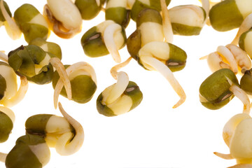 Sticker - sprouted mung bean isolated