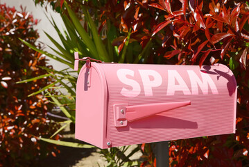 Pink letter box with word Spam near plants outdoors