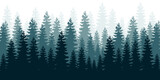Fototapeta Las - Coniferous forest background. Nature, landscape. Evergreen coniferous trees. Pine, spruce, silhouette vector