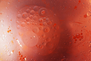 Wall Mural - Gold and red Oil bubbles close up. circles of orange and pink water macro. abstract shiny background