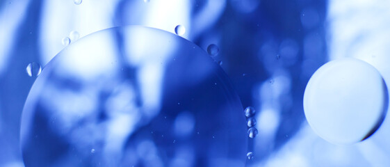 Wall Mural - Oil bubbles close up. circles of water macro. abstract light blue background