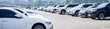 Car parked at outdoor parking lot. Used car for sale and rental service. Car insurance background. Automobile parking area. Car dealership and dealer agent concept. Automotive industry. Dealer Company