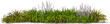 bush shrub lily grape perennial hq arch viz cutout plant