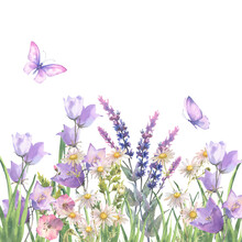 Watercolor Composition, Border With Herbs And Wild Flowers, Leaves, Butterflies. Botanical Illustration On White Background. Template With Place For Text