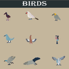 Naklejka na meble Set of different birds vector file