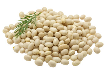 Sticker - White dry beans