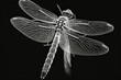 The sibar sibar, or dragonfly, is a member of the order Odonata. abundantly located in a wide variety of habitats, from natural settings like forests and gardens to agricultural settings like rice fie