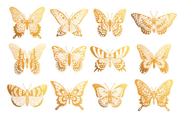 Cartoon golden butterflies. Gold flying insects, tropical shiny butterflies silhouettes flat vector illustration set