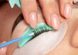 © Dimid - Make-up artist makes the procedure of lamination and dyeing of eyelashes to a beautiful woman in a beauty salon. Eyelash extensions. Eyelashes close-up