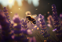 A Bee Flying Over A Bunch Of Lavender Flowers In A Field Of Lavenders In The Sunlight.generative Ai