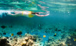 woman snorkeling in clear tropical water with exotic fish