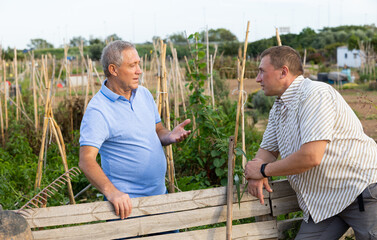 Wall Mural - Male neighbors standing at fence outdoors and having conversation. Village residents talking outdoors.