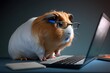 hamster using laptop created using AI Generative Technology