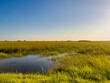 © ineffablescapes - Everglades National Park in Florida