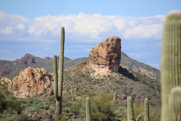 Sticker - Arizona Landscape