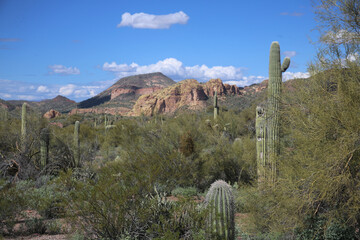 Wall Mural - Arizona