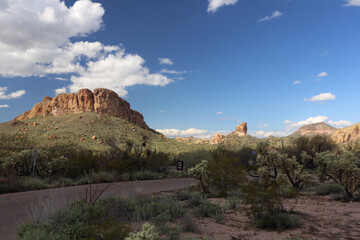 Wall Mural - Arizona