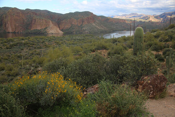 Canvas Print - Canyon Lake, Arizona