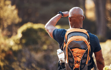 Canvas Print - Relax, hiking and fitness with black man in forest for sports, training and workout. Backpacking, peace and freedom with hiker trekking in nature enjoying view for travel, adventure and environment