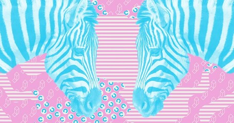 Wall Mural - Modern loop collage animation. Funny zebra and creative motion background