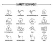 © missbobbit - Barrett's Esophagus symptoms, diagnostic and treatment vector icon set. Line editable medical icons.
