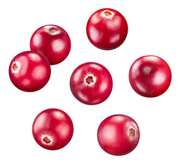 Wall Mural - Cranberry collection isolated on white background. Cranberry set Clipping Path. Cranberry macro studio photo